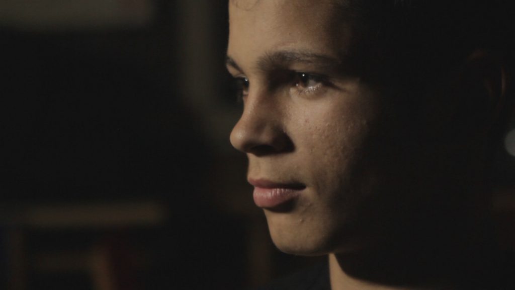 Paper, Horse and Birds